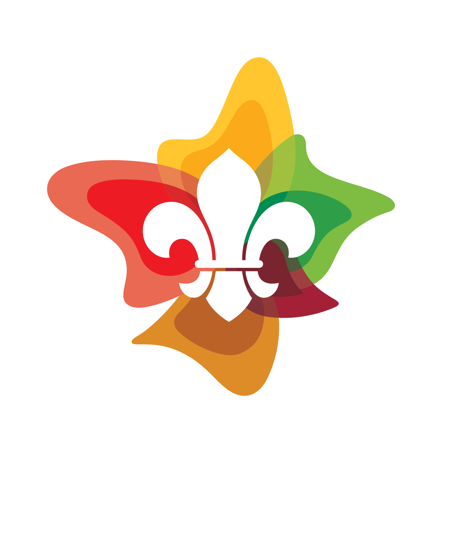 Logan Village Scout Group