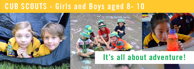 Logan Village Cub Scouts